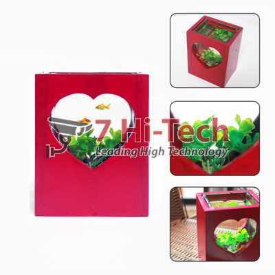 Bể Cá Mini Hình Trái Tim