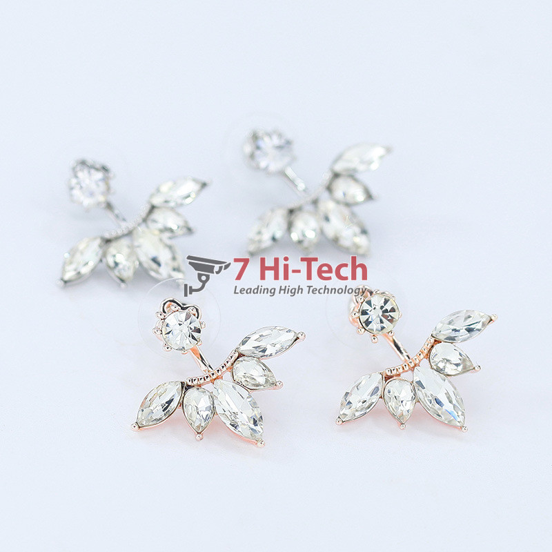 Bông Tai Inox Mạ Vàng T30008001