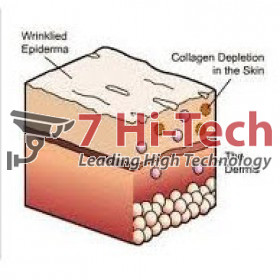 Bột Collagen