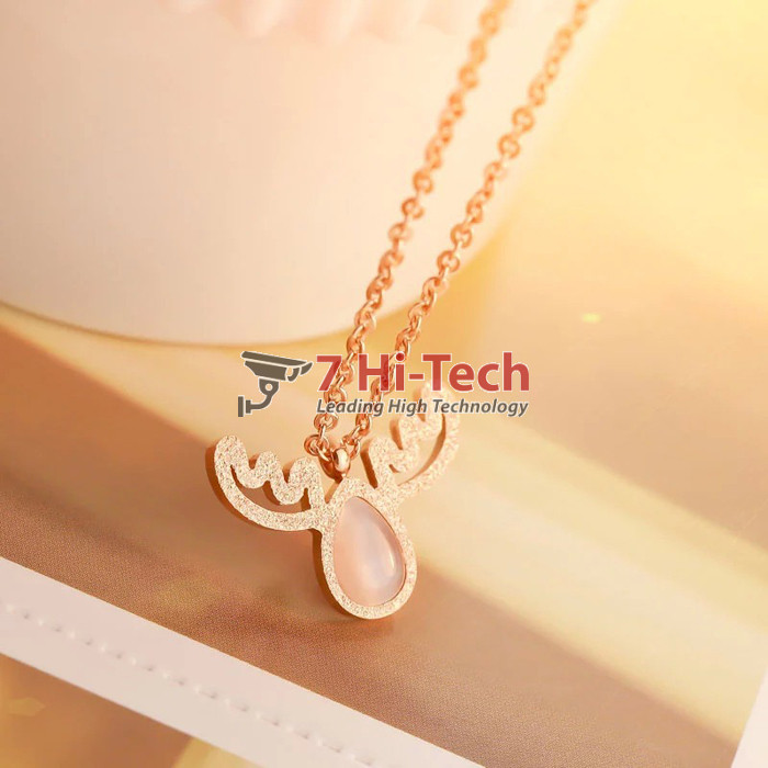 Dây Chuyên Inox Mạ Vàng 10186001