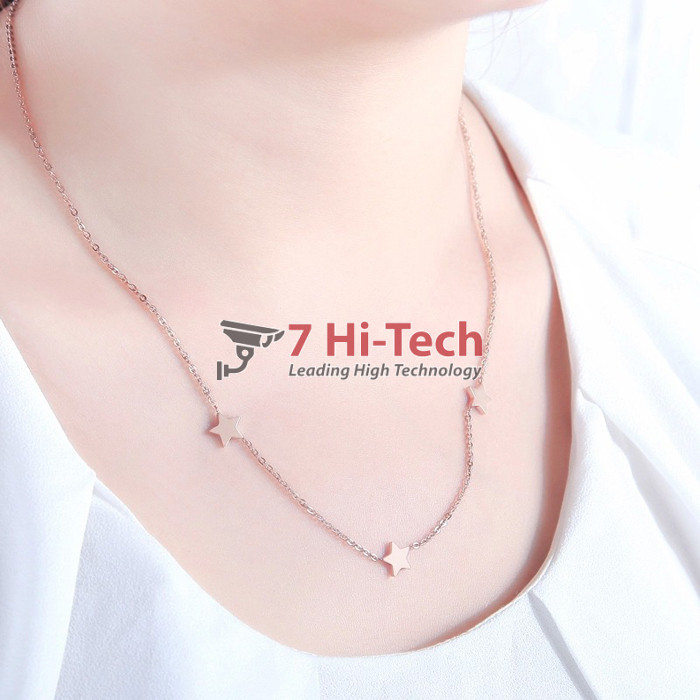 Dây Chuyên Inox Mạ Vàng 10163001