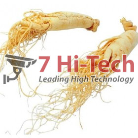 Chiết Xuất Nhâm Sâm