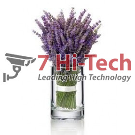 Vị Hoa Lavender