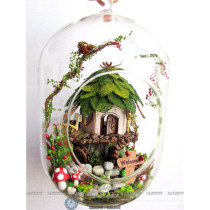 Ngôi Nhà Mô Hình DIY Tự Làm (PT-GN01)