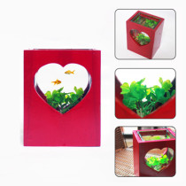 Bể Cá Mini Hình Trái Tim