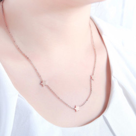 Dây Chuyên Inox Mạ Vàng 10163001