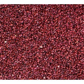 Hạt Việt Quốc (Bluberry seeds)
