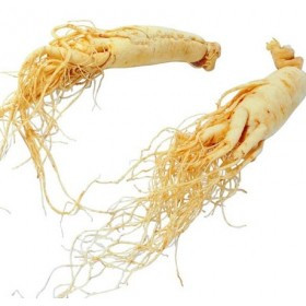 Chiết Xuất Nhân Sâm (Ginseng Extract)