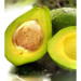 Chiết Xuất Quả Bơ (Avocado Extract)